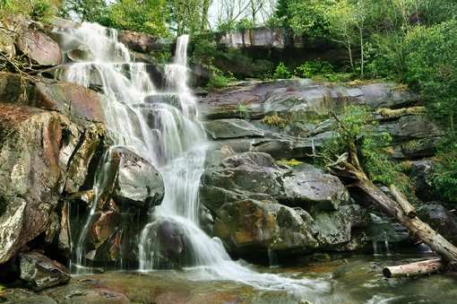 15 Best Hiking Trails in Tennessee!