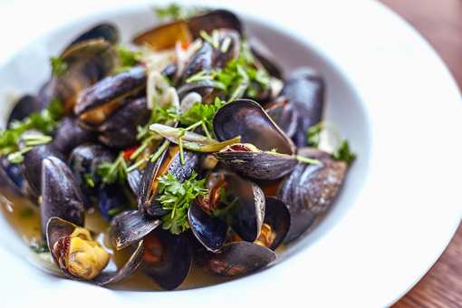 The 8 Best Seafood Restaurants in Tennessee!